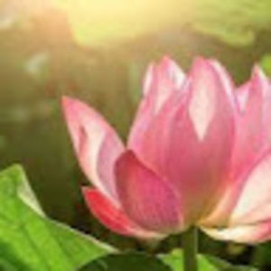 Meet your Posher, Sakina